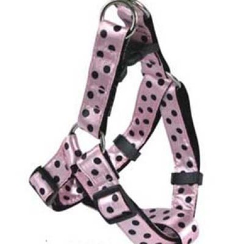 Dog Leads
